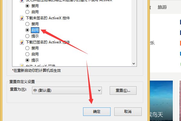如何正确安装activex控件？