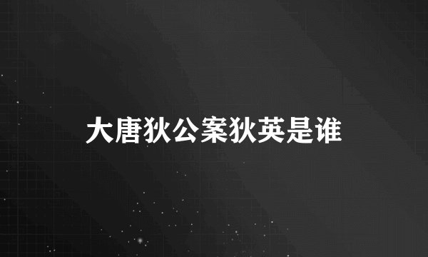 大唐狄公案狄英是谁