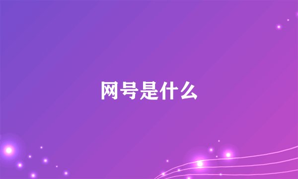 网号是什么