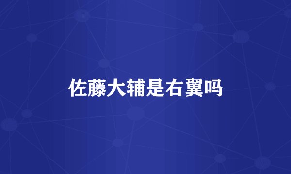 佐藤大辅是右翼吗