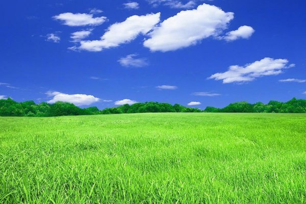 绿拼音怎么拼？