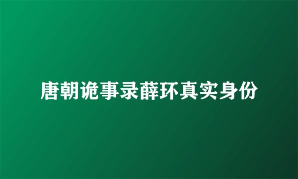 唐朝诡事录薛环真实身份