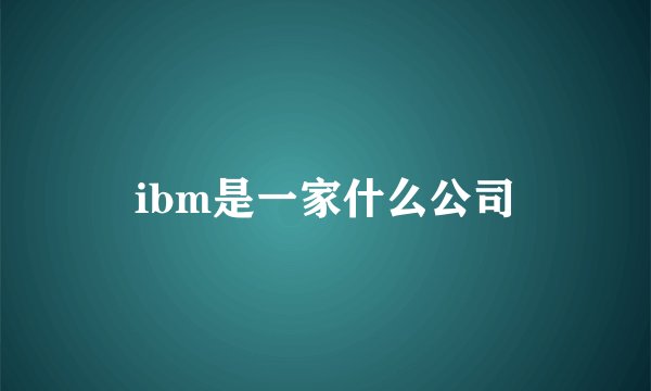 ibm是一家什么公司