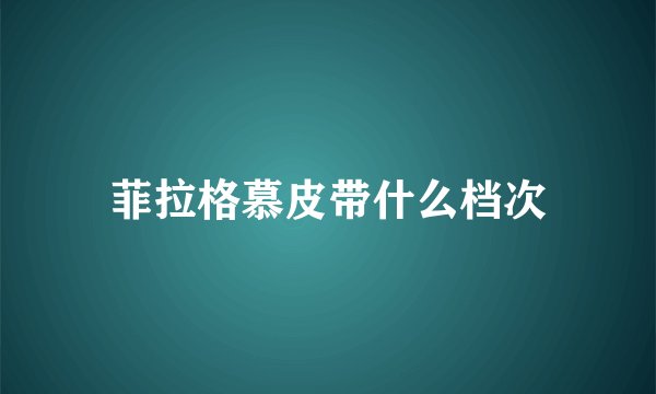菲拉格慕皮带什么档次