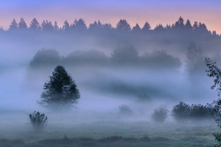 笼罩的拼音和意思