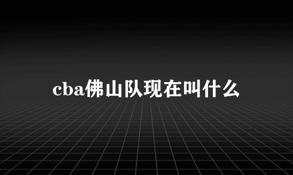 cba佛山队现在叫什么