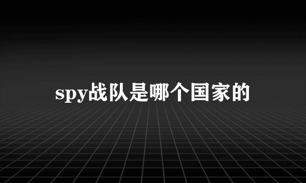 spy战队是哪个国家的