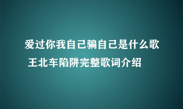爱过你我自己骗自己是什么歌 王北车陷阱完整歌词介绍