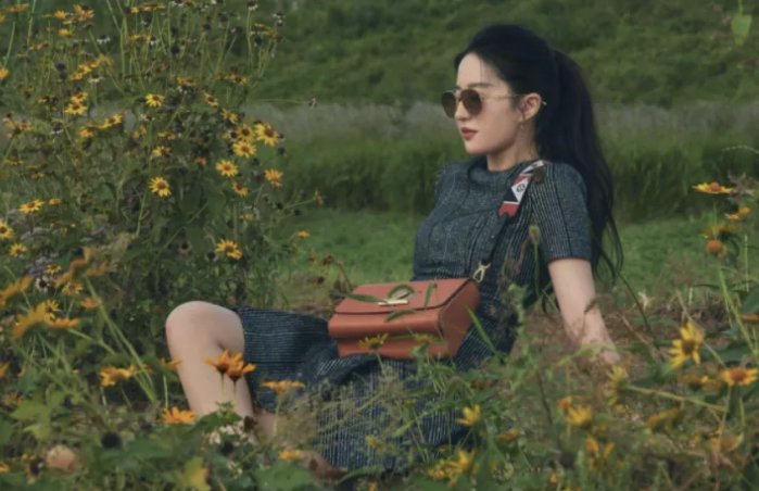 去有风的地方插曲是什么？