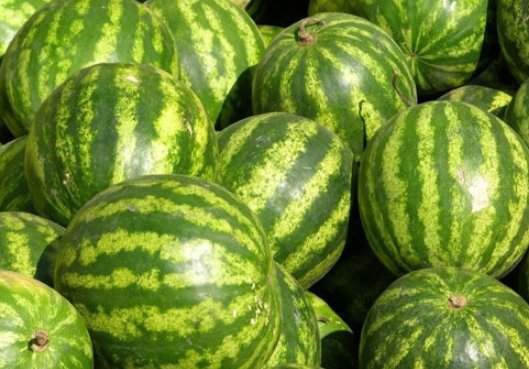 从到的句式怎么写？