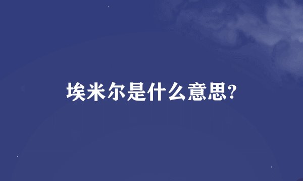 埃米尔是什么意思?
