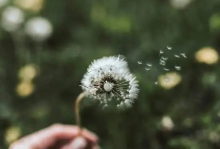 因缘际会是什么意思