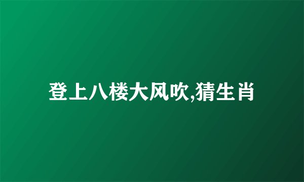 登上八楼大风吹,猜生肖