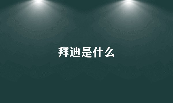 拜迪是什么