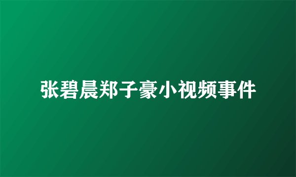 张碧晨郑子豪小视频事件