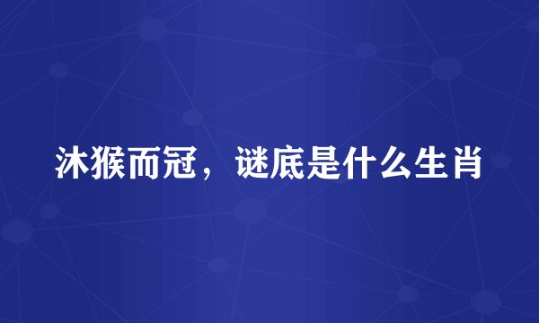 沐猴而冠，谜底是什么生肖