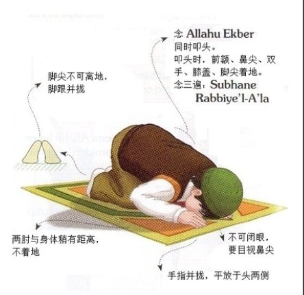 什么叫礼拜，礼拜有几种方式？