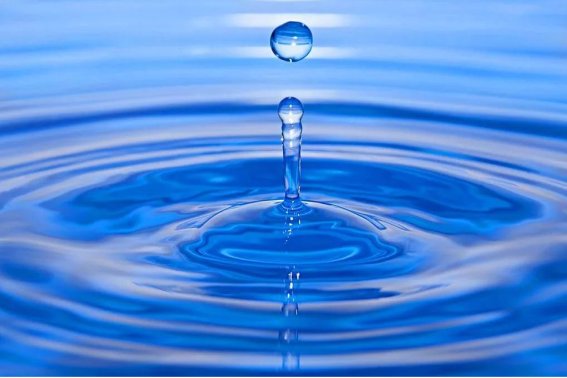 一滴水可以活多久阅读理解