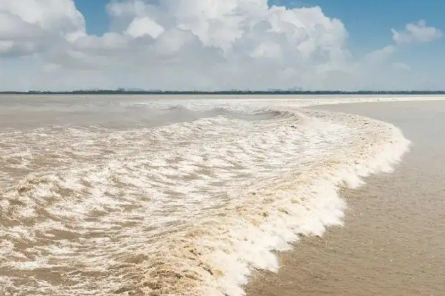 庐山烟雨浙江潮的全诗内容是什么?