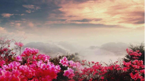 邓玉华演唱的《映山红》出自什么电影？