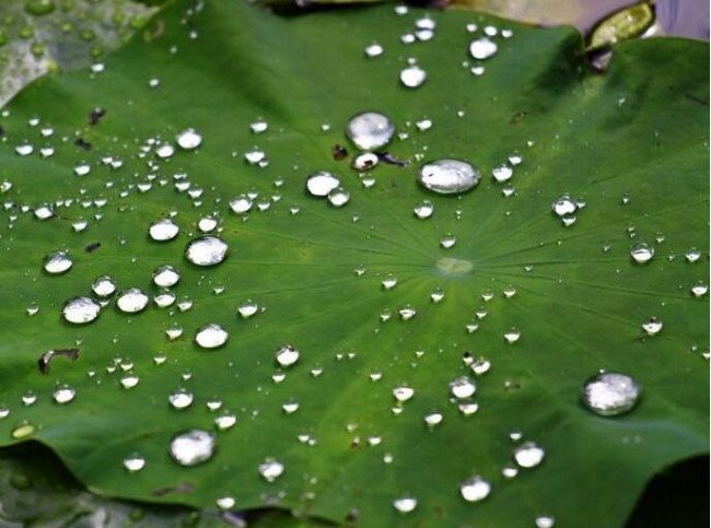 大珠小珠落玉盘什么意思