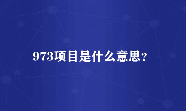 973项目是什么意思？