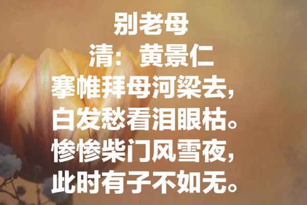 关于母爱的古诗20首