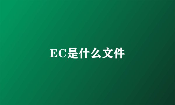 EC是什么文件