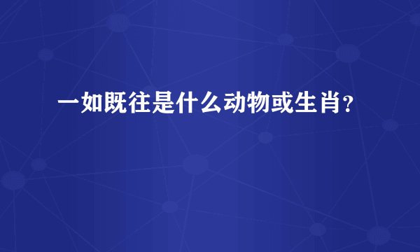 一如既往是什么动物或生肖？