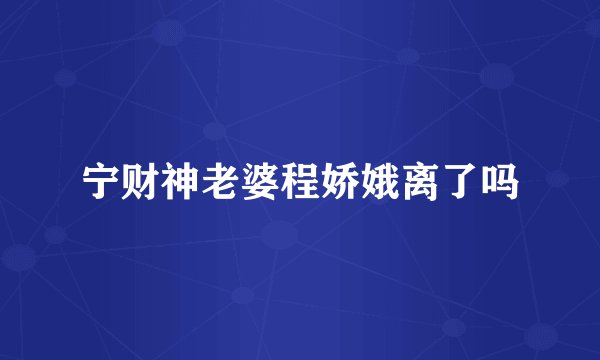 宁财神老婆程娇娥离了吗