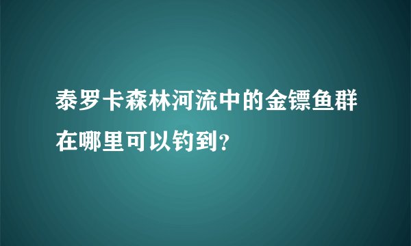 泰罗卡森林河流中的金镖鱼群在哪里可以钓到？
