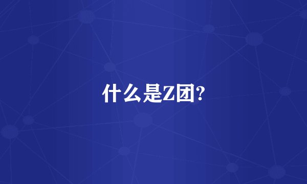 什么是Z团?