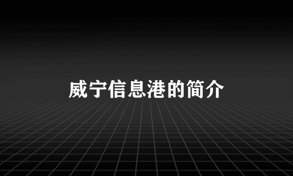 威宁信息港的简介