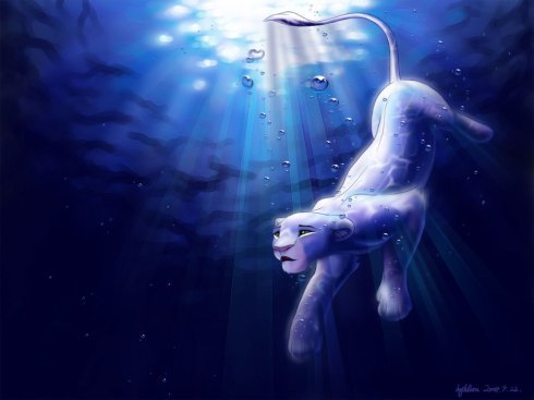 忧郁的蓝色手机论坛的网站特色