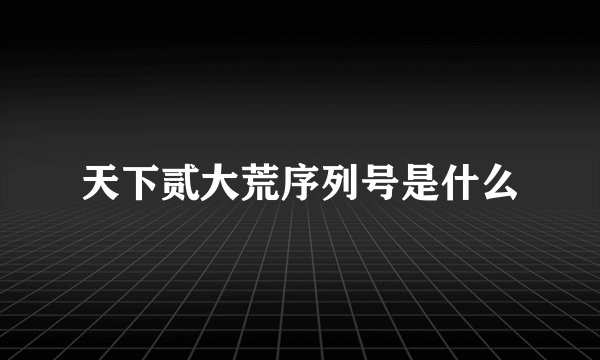 天下贰大荒序列号是什么