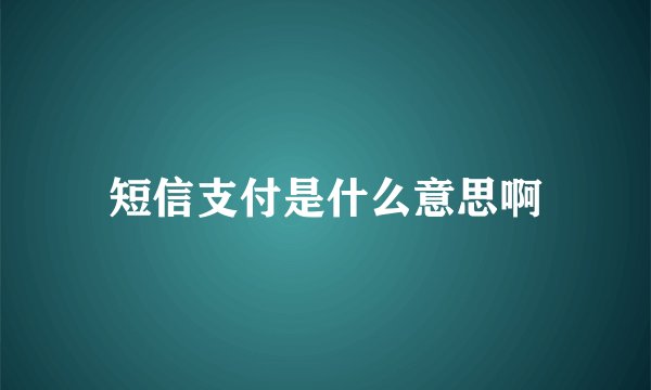 短信支付是什么意思啊