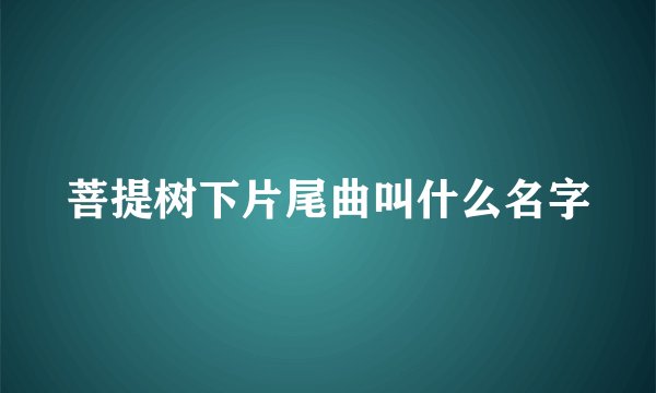 菩提树下片尾曲叫什么名字