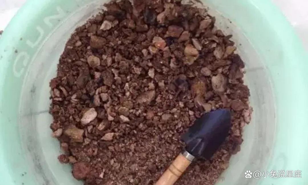 4种废渣不要扔，赶紧拿来养花，能让花卉长得旺，多去开花，你知道吗？