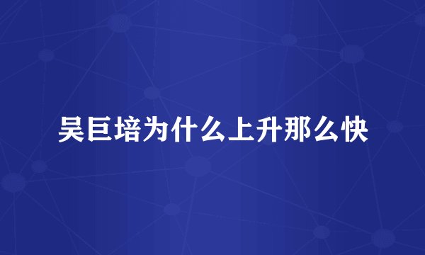吴巨培为什么上升那么快