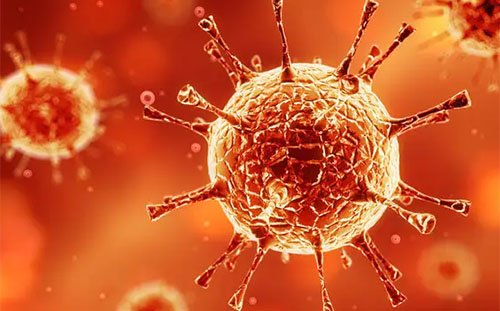 奥密克戎得上三天就得死对吗