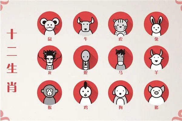 分星掰两打一动物生肖