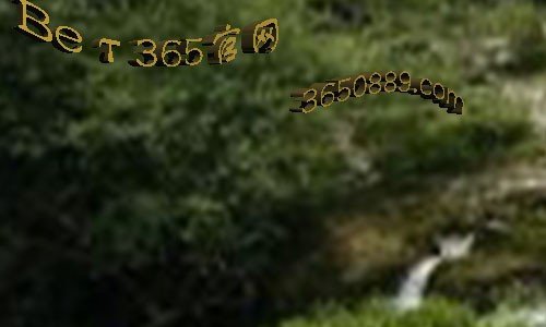 青岛网通棋牌怎么一打开就自动关闭?