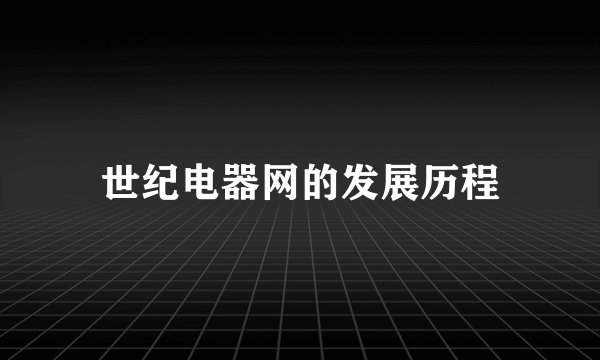 世纪电器网的发展历程