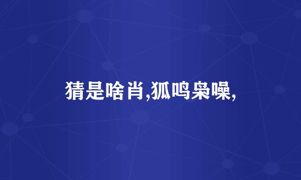 猜是啥肖,狐鸣枭噪,