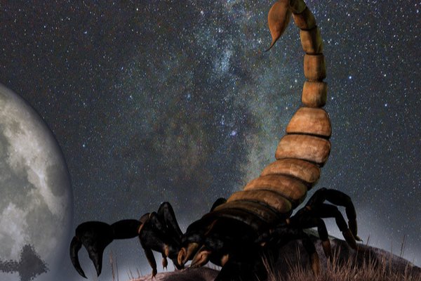 10月24日出生是什么星座？