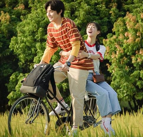 上游陆湜祎结局