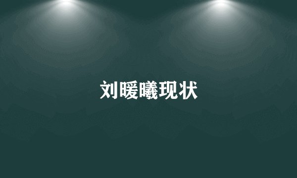 刘暖曦现状