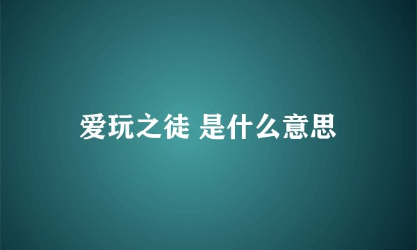 爱玩之徒 是什么意思