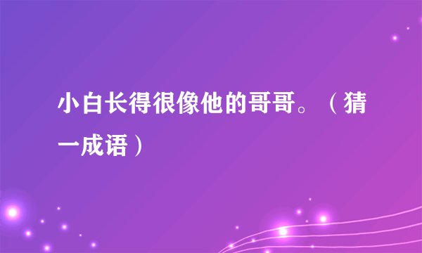 小白长得很像他的哥哥。（猜一成语）