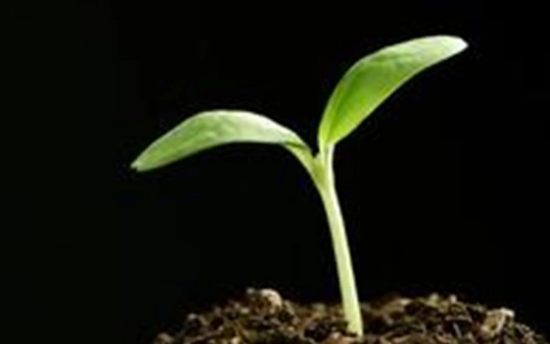 嫩芽研究所隐藏入口在哪